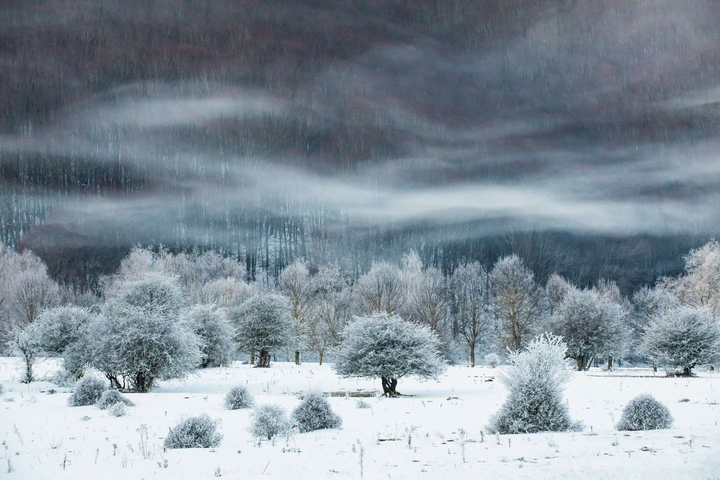 International Landscape Photographer of the Year