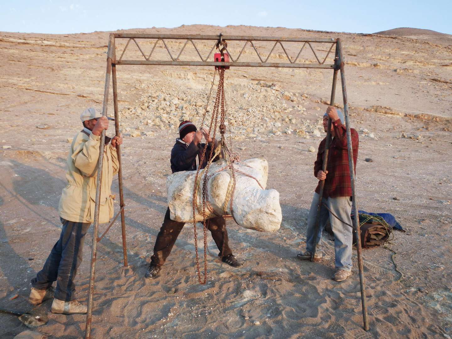 Perucetus colossus’ specimen being transported from the site of origin (Ica Province, southern Peru) to the Museo de Historia Natural, Universidad Nacional Mayor San Marcos (Lima)