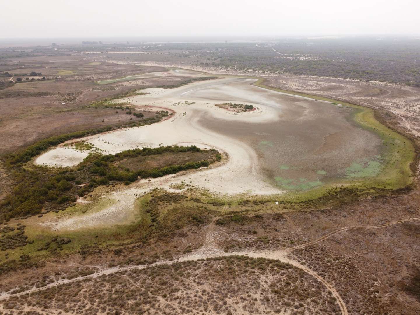 Lagoa de Santa Olalla seca, no Parque Nacional de Doñana