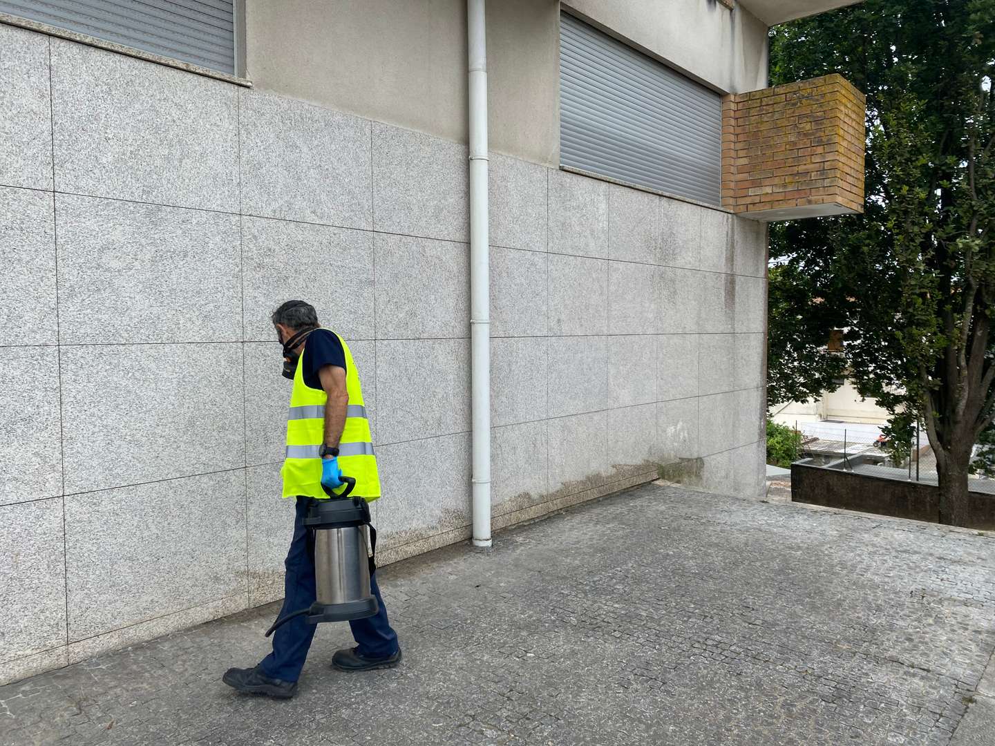 Reportagem em Águas Santas sobre praga de baratas