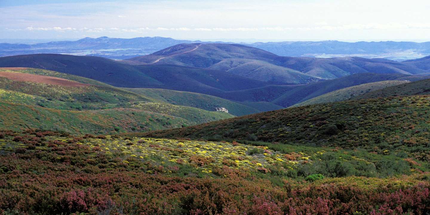 A Serra da Malcata é uma das áreas protegidas onde a Florestgal intervém