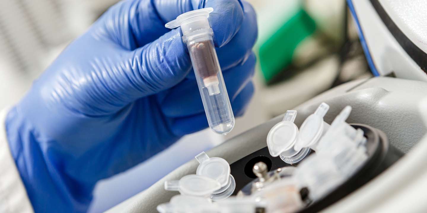 Molecular genetics laboratory of Uzhhorod National University