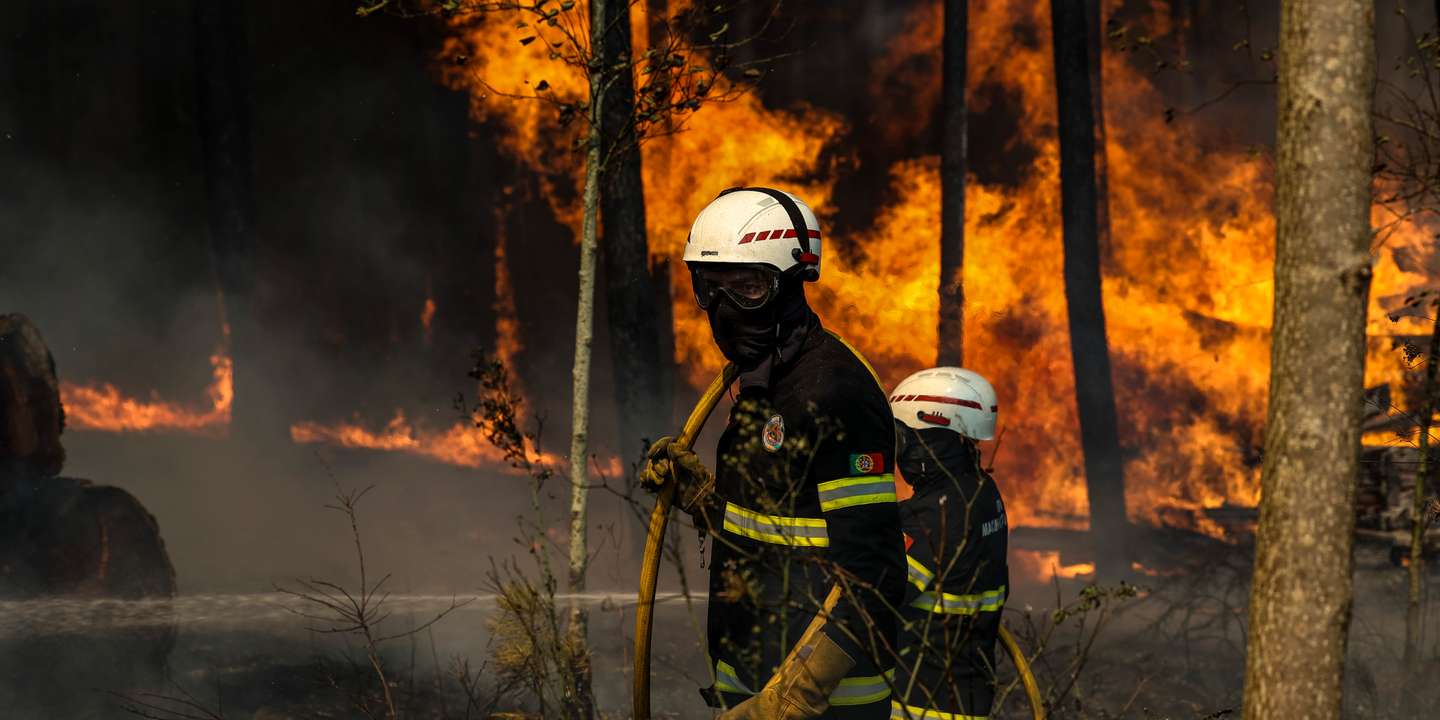 Bombeiros durante o combate ao incêndio na localidade de Soutelo, Albergaria-a-Velha