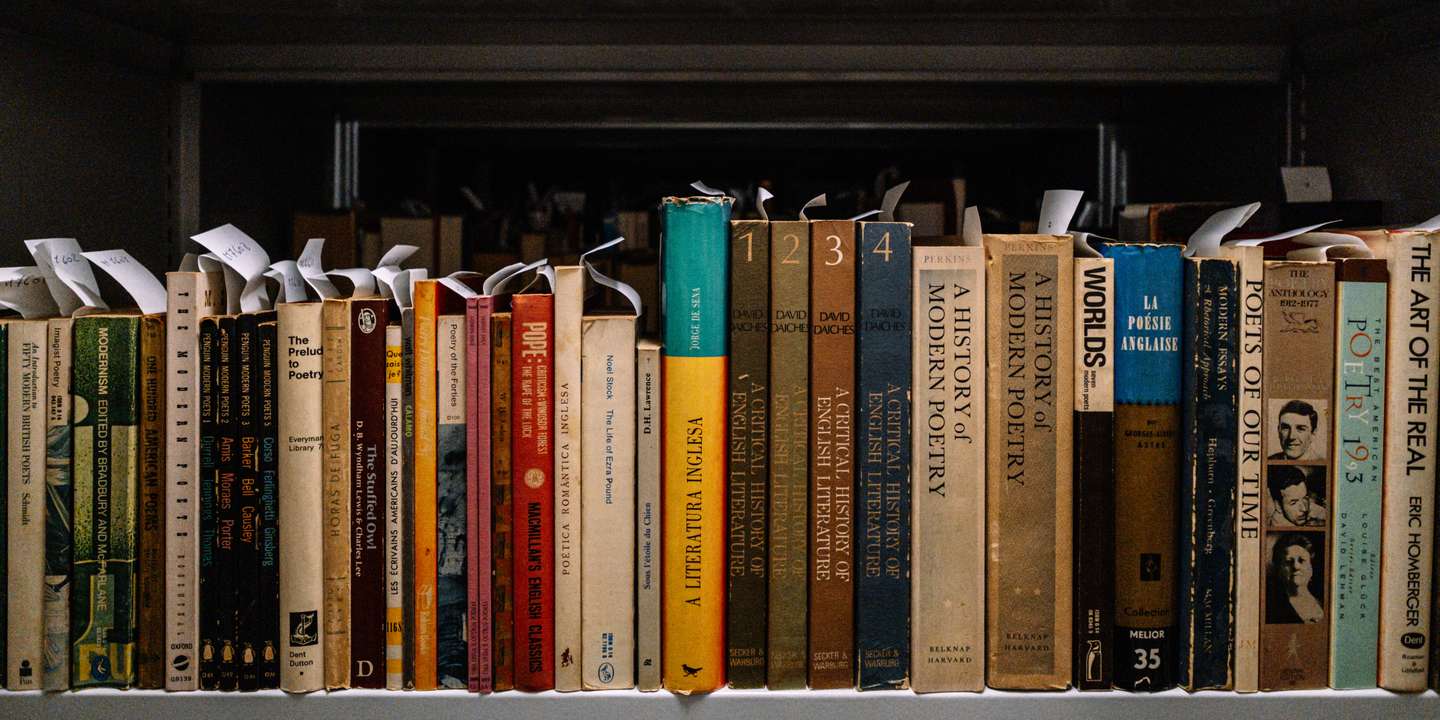 Literatura, zoologia, arquitetura ou botânica, eis uma viagem ao património doado à Universidade do Porto