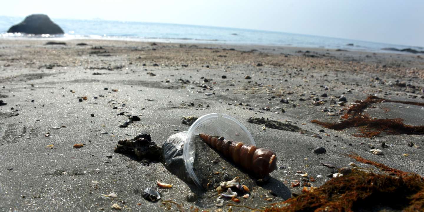 Pollution in marine protected area in Bangladesh