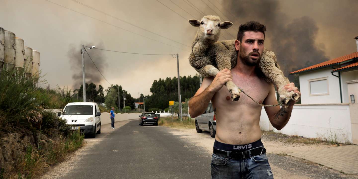 João Paulo tem 22 anos e vive e trabalha na freguesia da Boa Vista, Leiria, que foi atingida esta terça-feira pelas chamas (PAULO CUNHA/LUSA)