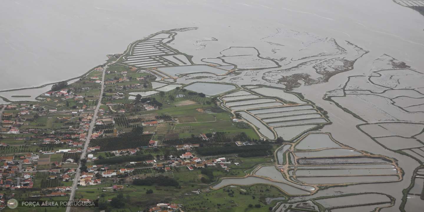 O caudal do Sado cobriu completamente os 6 mil hectares de arrozais da região