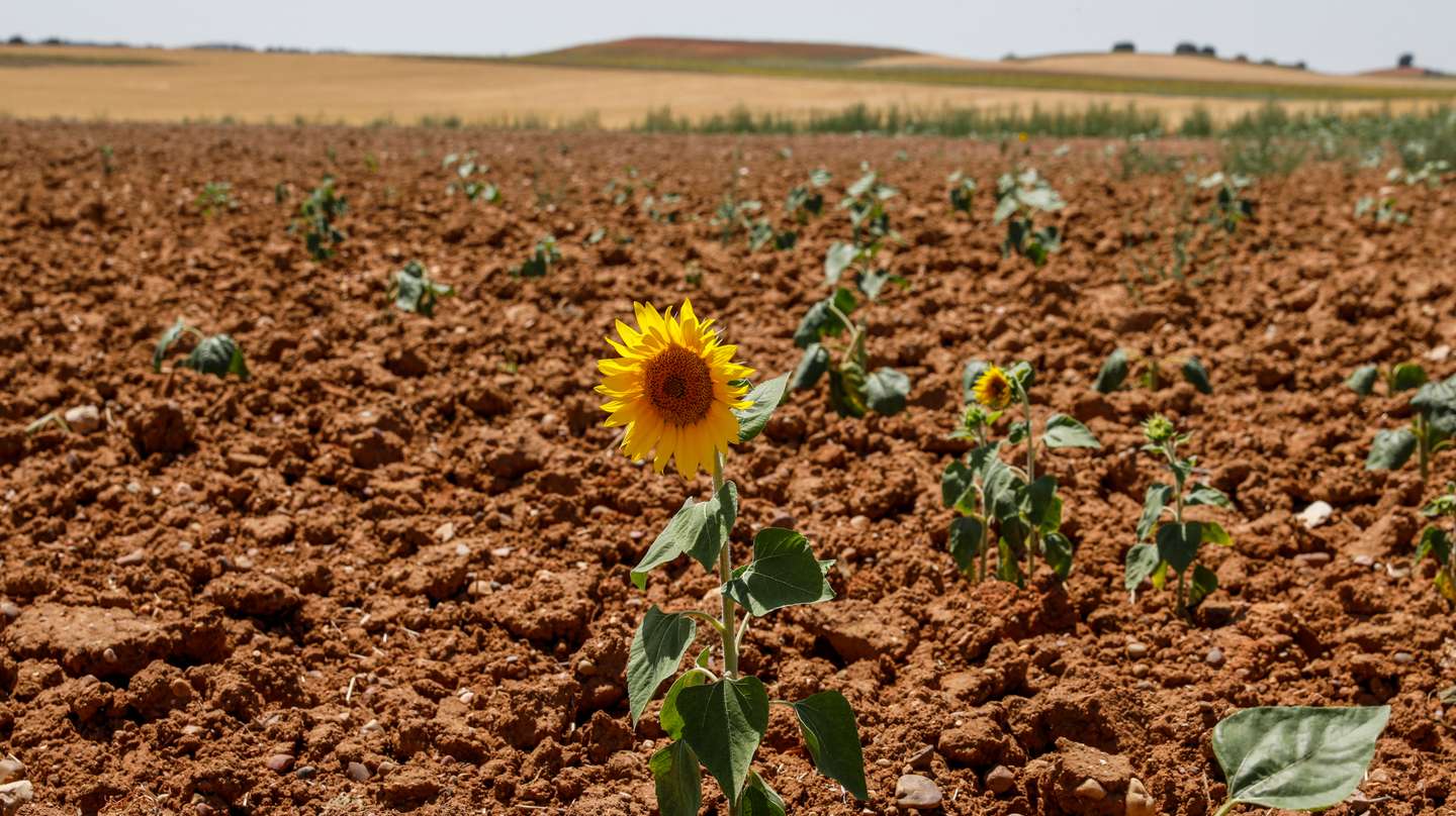 Spain Battles Extreme Drought During Prolonged Dry Spell