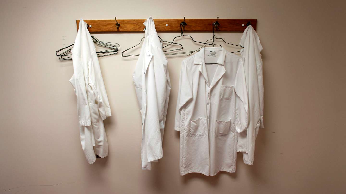 Obama Executive Order Lifts Strict Limits On Stem Cell Research