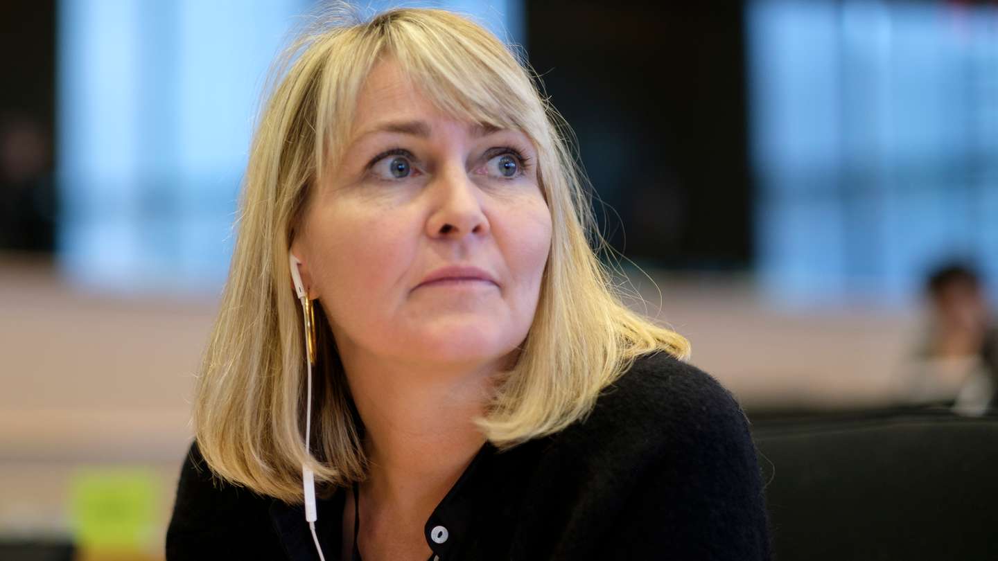 Committee of inquiry into emission measurements in the automotive sector