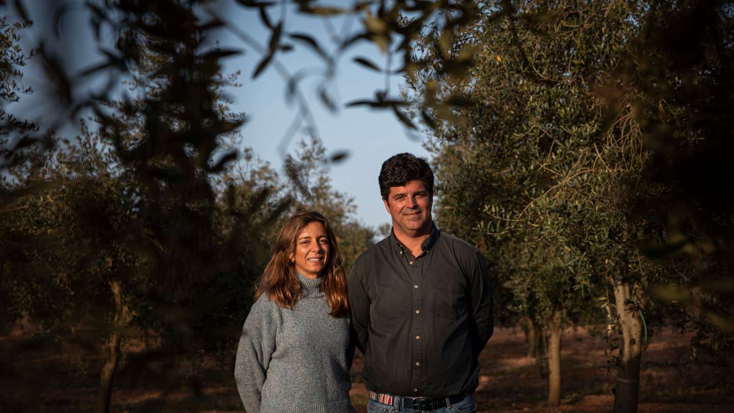 Reportagem sobre a influência da Barragem do Alqueva na agricultura do Alentejo. Reportagem sobre um olival de produção intensiva perto da Beja. Alqueva, Beja, 10 de fevereiro de 2022. JOÃO PORFÍRIO/OBSERVADOR