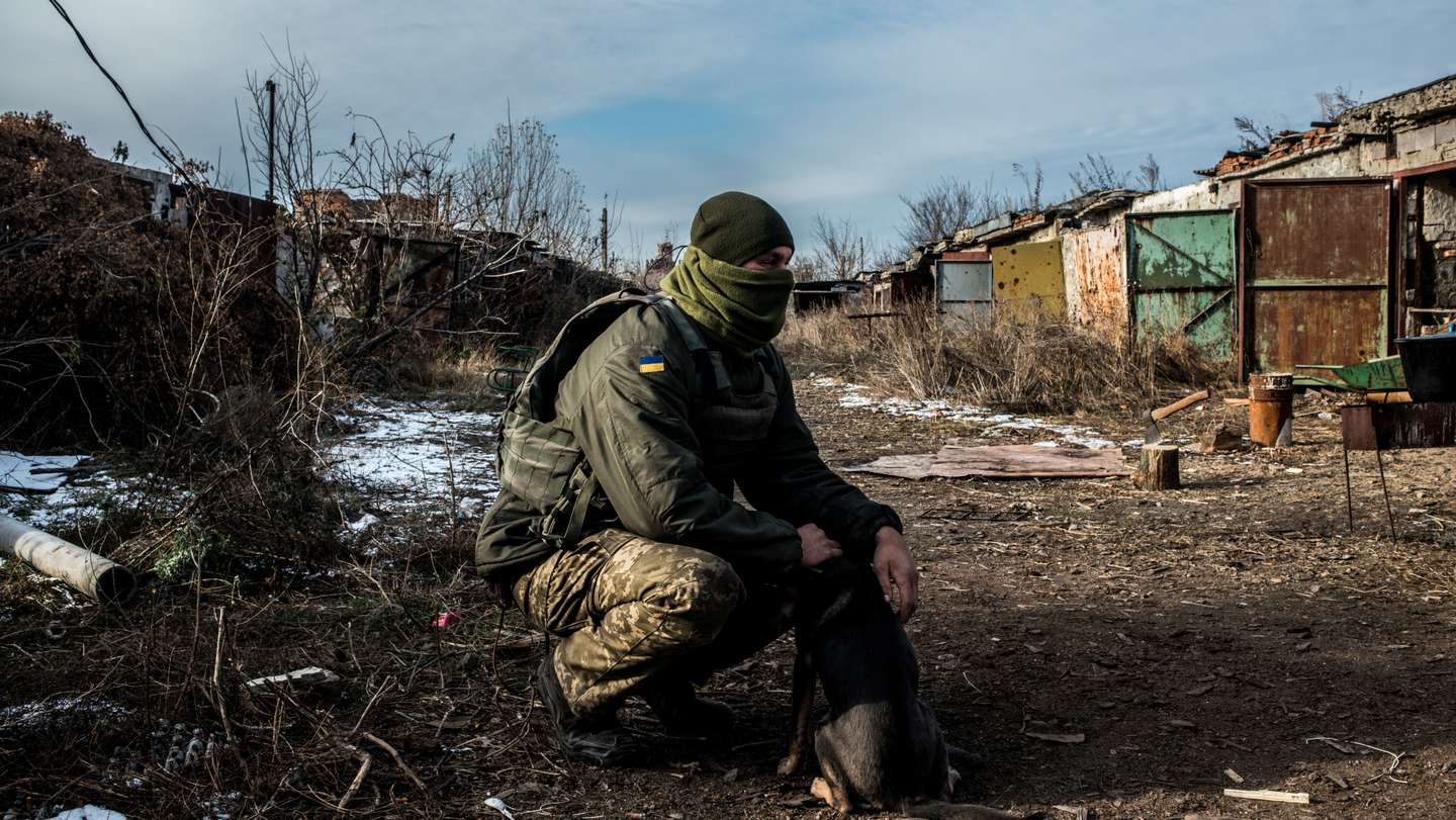 Soldados ucranianos com os seus "companheiros de estimação" na zona de Donbas, na Ucrânia, que tem sido disputada com tropas separatistas
