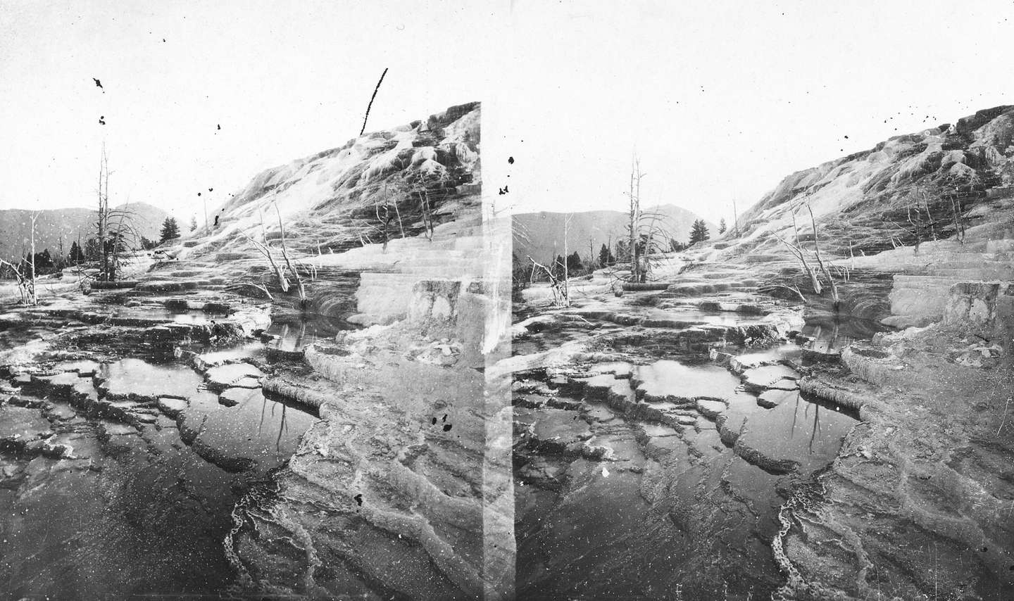 Mammoth Hot Springs Stereograph
