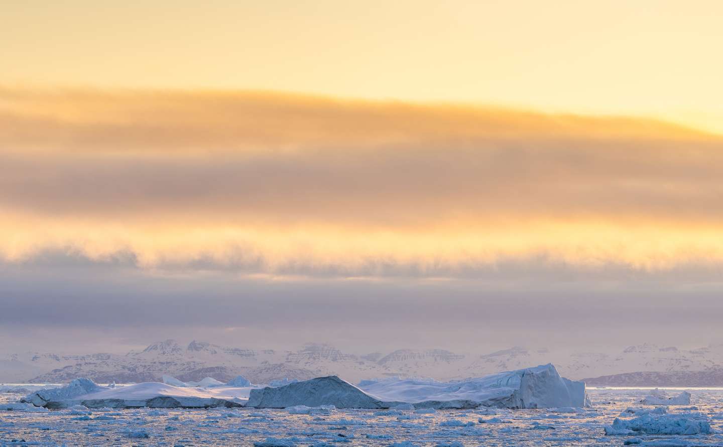 Icebergs In Greenland