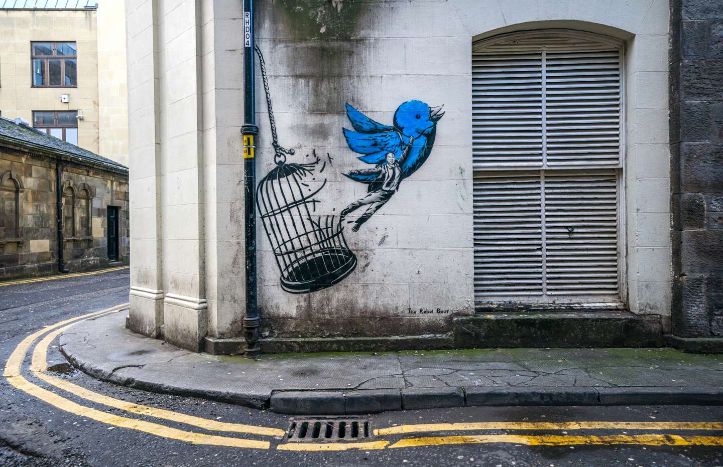 Rebel Bear street art