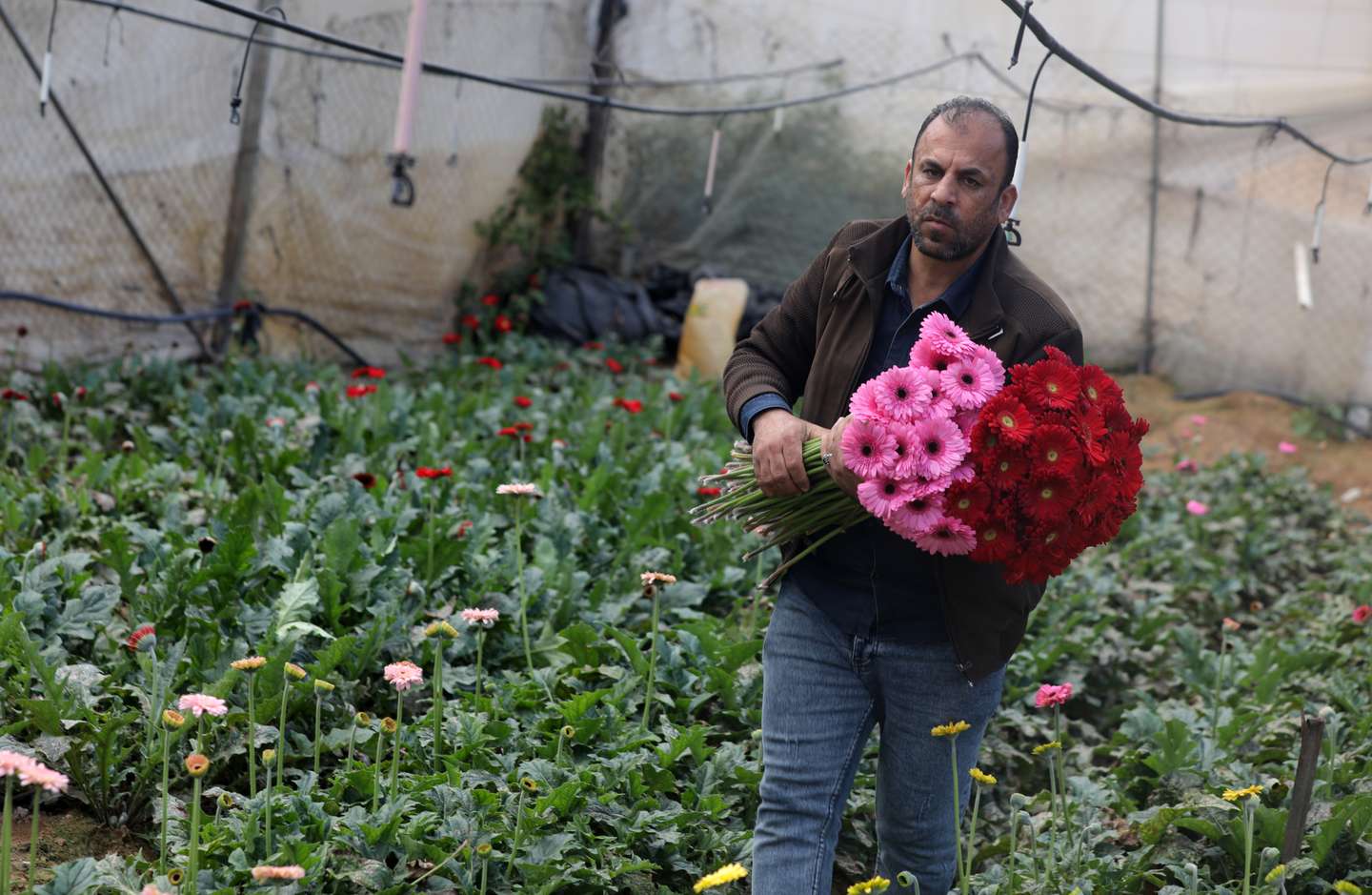 Valentine's Day In Gaza Strip