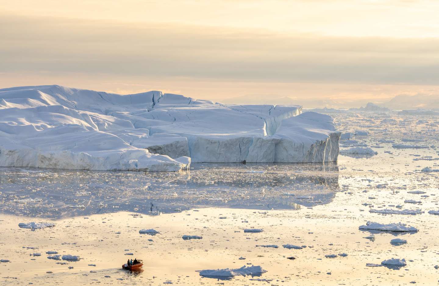 Icebergs In Greenland