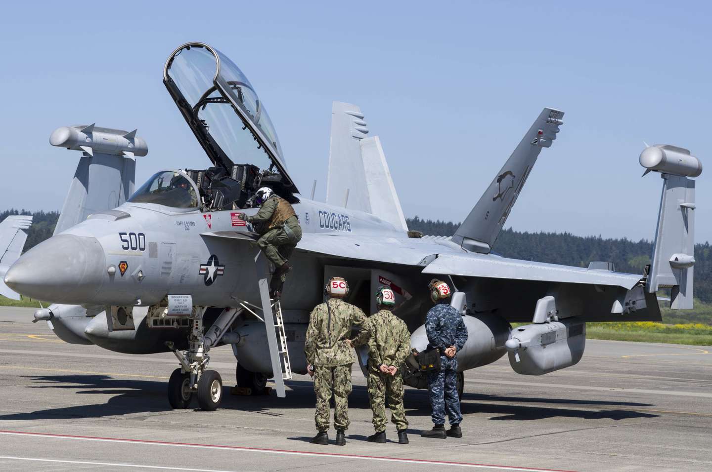 EA-18G Growler Aircraft