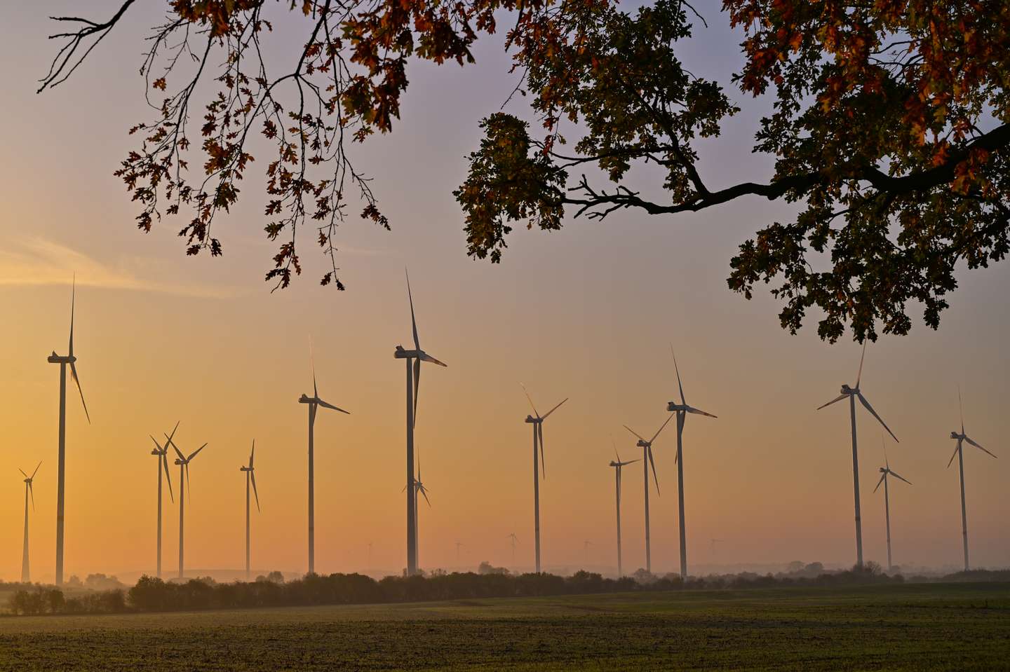 Wind Energy