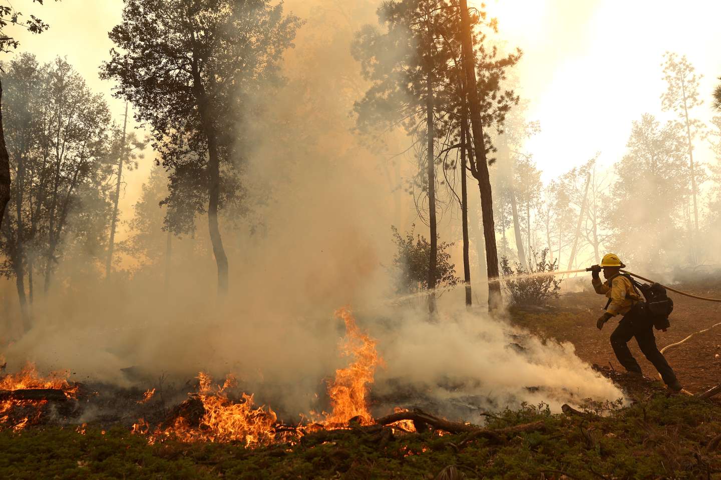 Oak Fire Sparks Evacuations in Mariposa County
