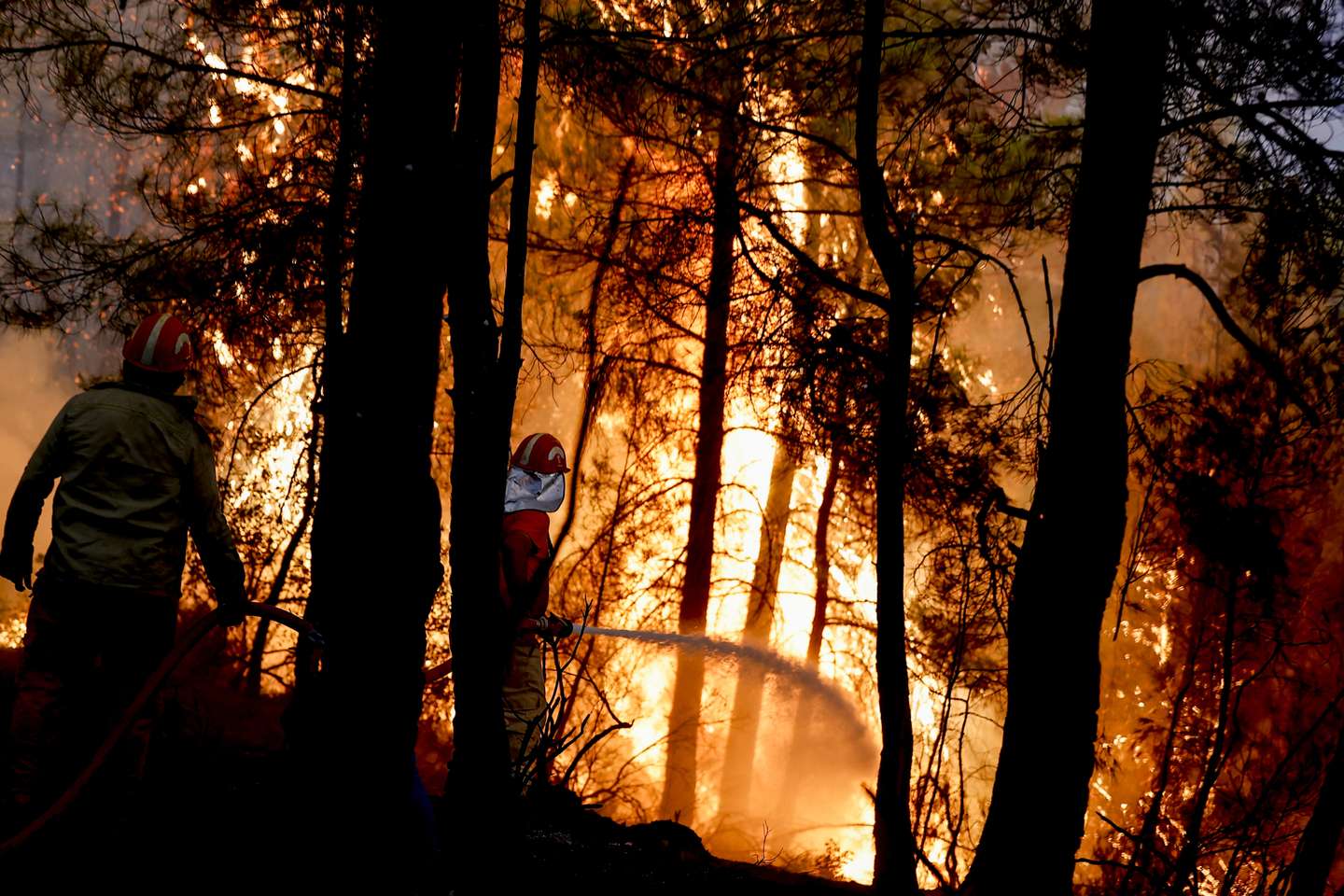 Forest fire in Turkey's Antalya