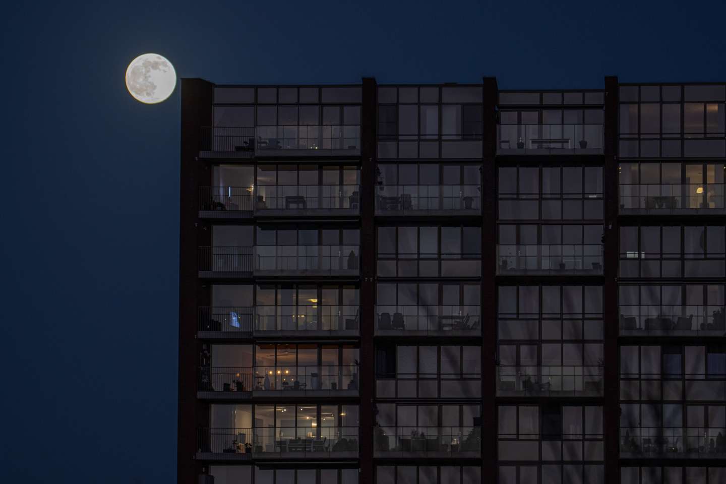 Full Wolf Moon In The Netherlands