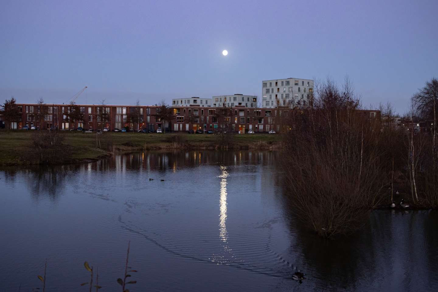 Full Wolf Moon In The Netherlands
