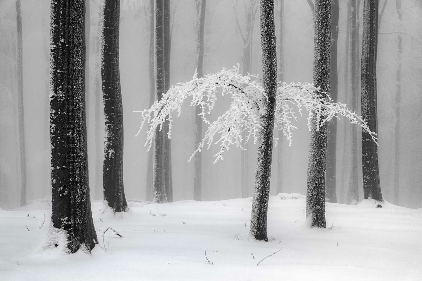 International Landscape Photographer of the Year