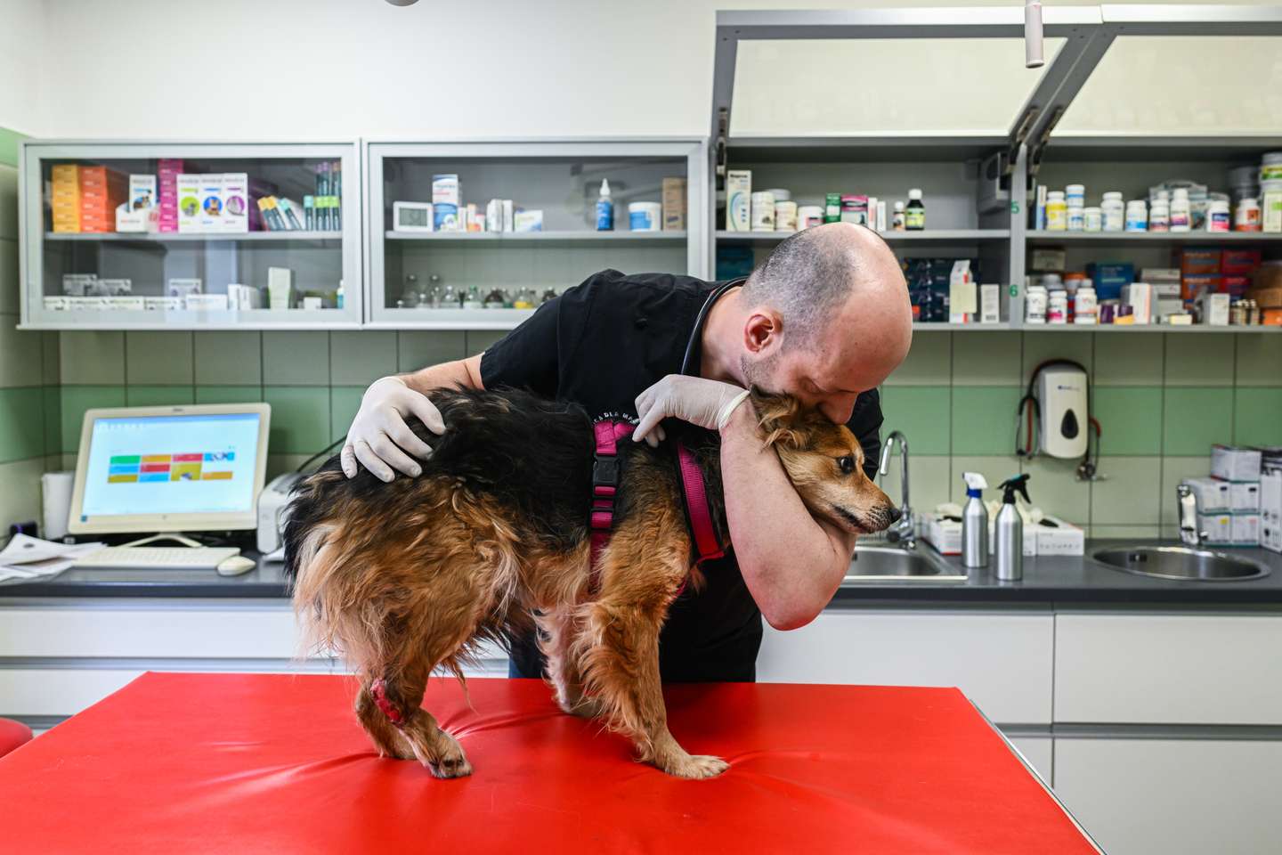 Clínica veterinária da Fundação Ada, em Przemysl (Polónia) onde são tratados os animais evacuados da Ucrânia