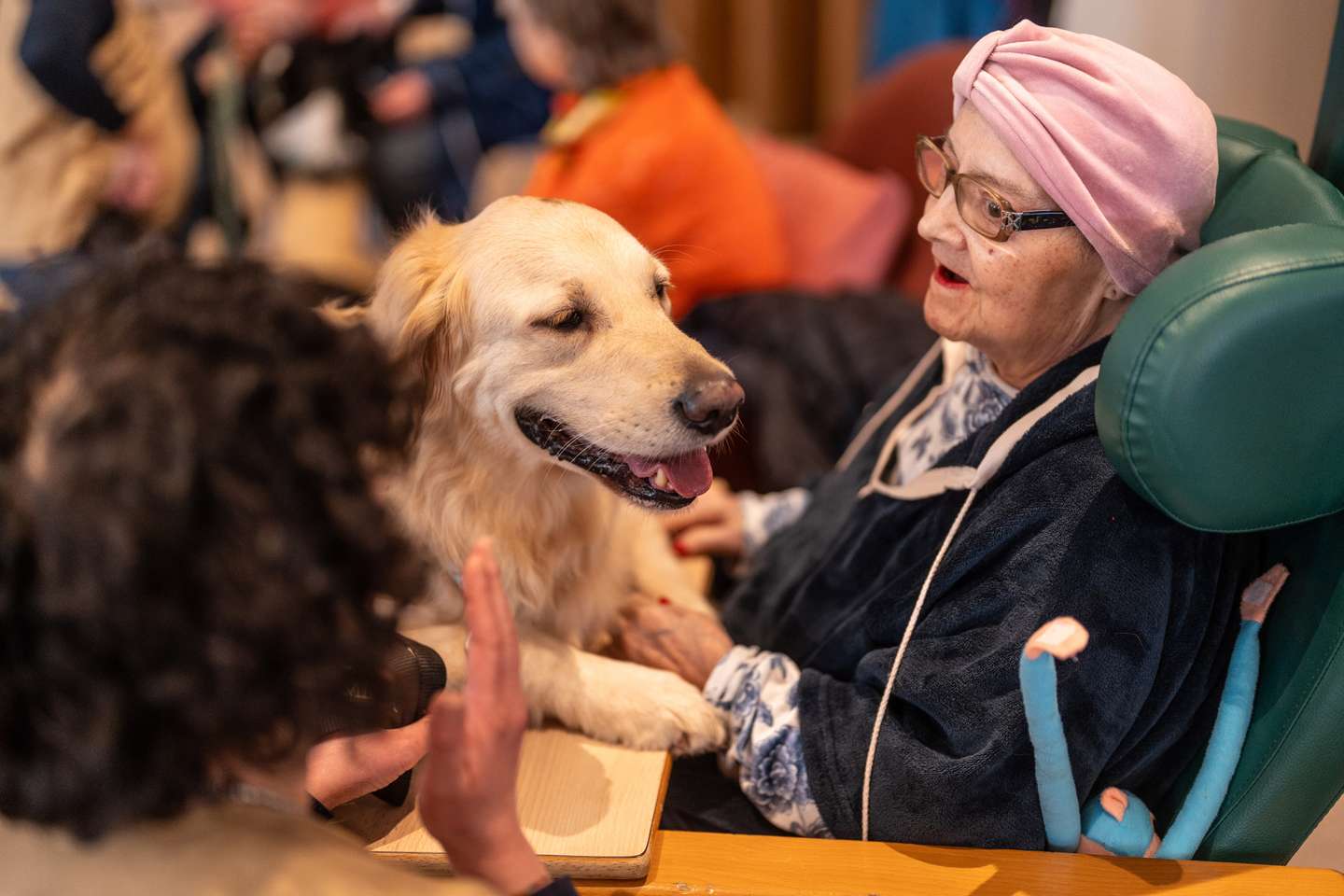 As sessões com cães, para doentes em cuidados paliativos, internados ou em ambulatório (e respetivos familiares) são uma das atividades de apoio psicológico nesta sala do IPO-Porto