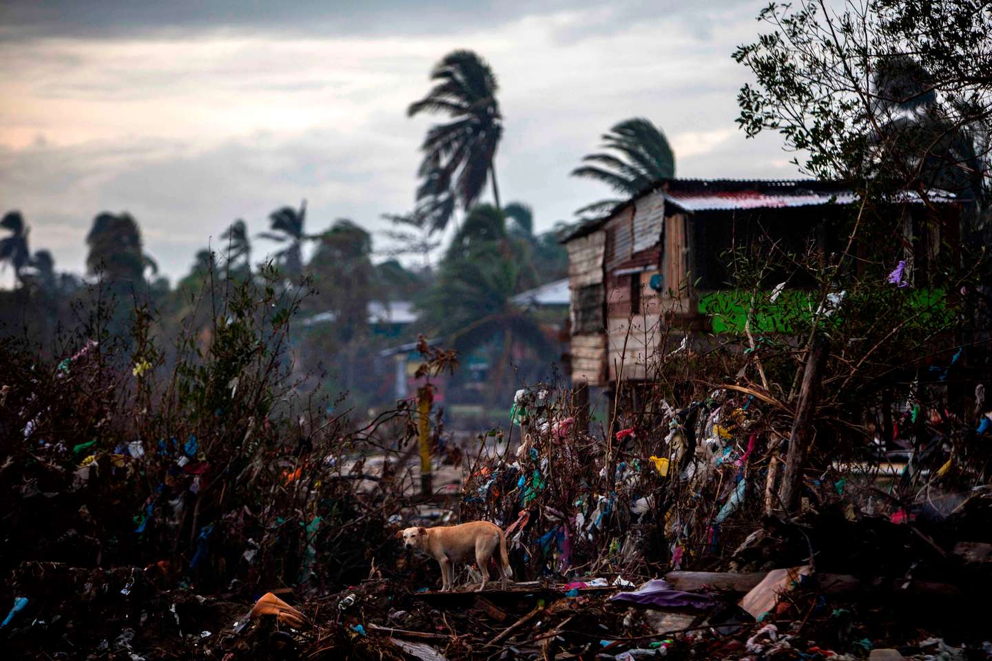 TOPSHOT-NICARAGUIA-WEATHER-HURRICANE-IOTA