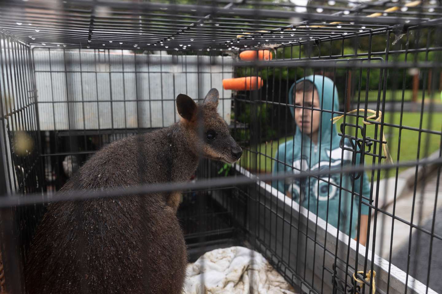 Extreme Weather Forces Evacuations Across Western Sydney