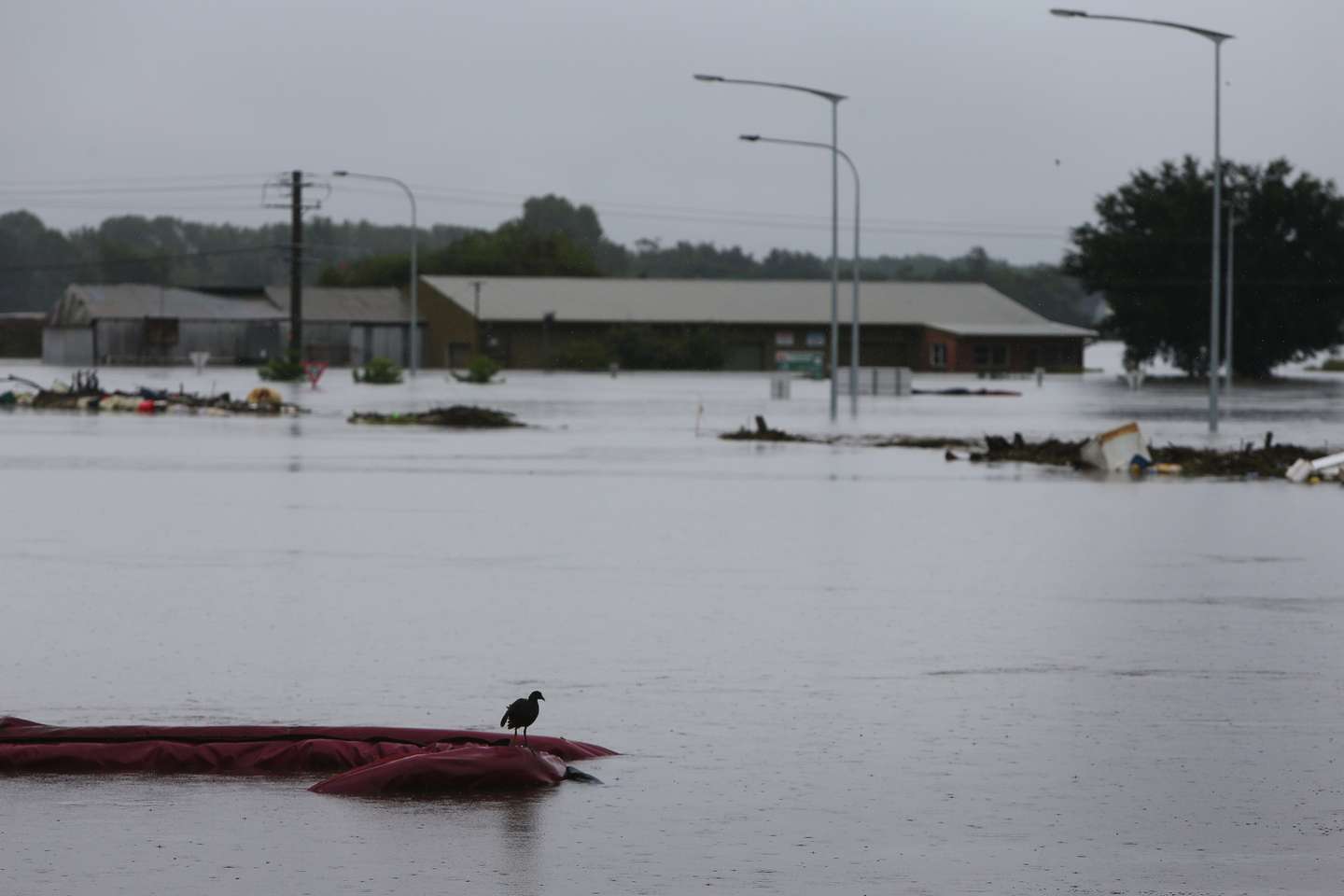 Extreme Weather Forces Evacuations Across Western Sydney