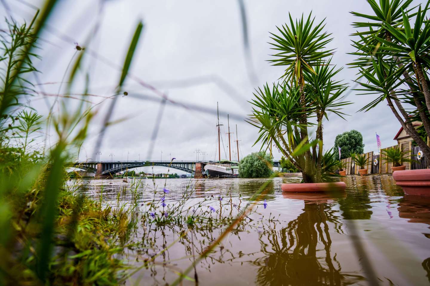 High water in Mainz-Kastel