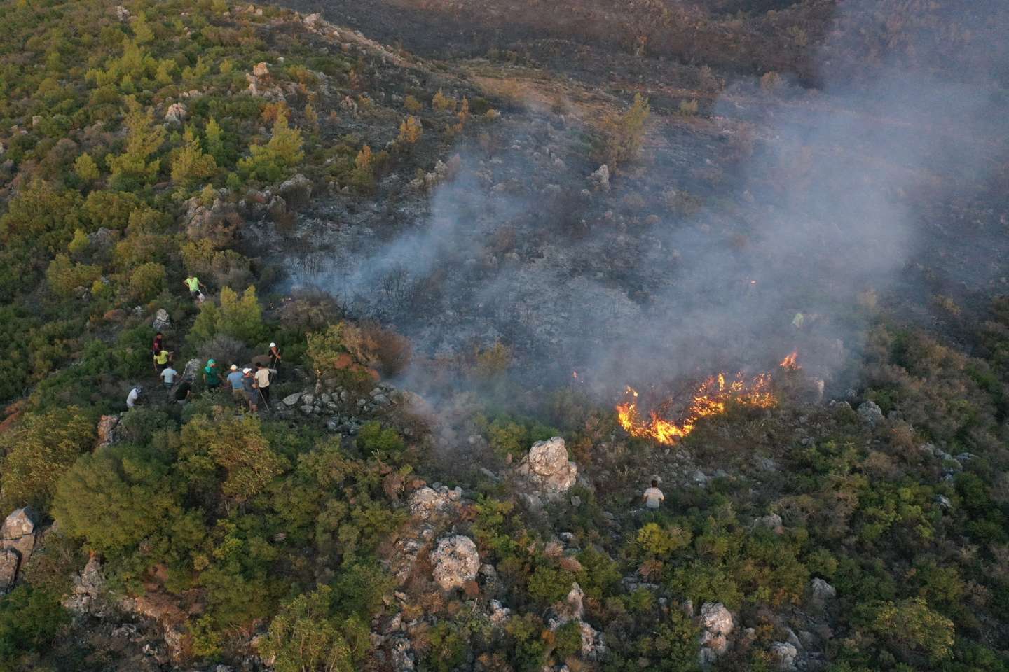 Forest fire in Turkey's Mugla