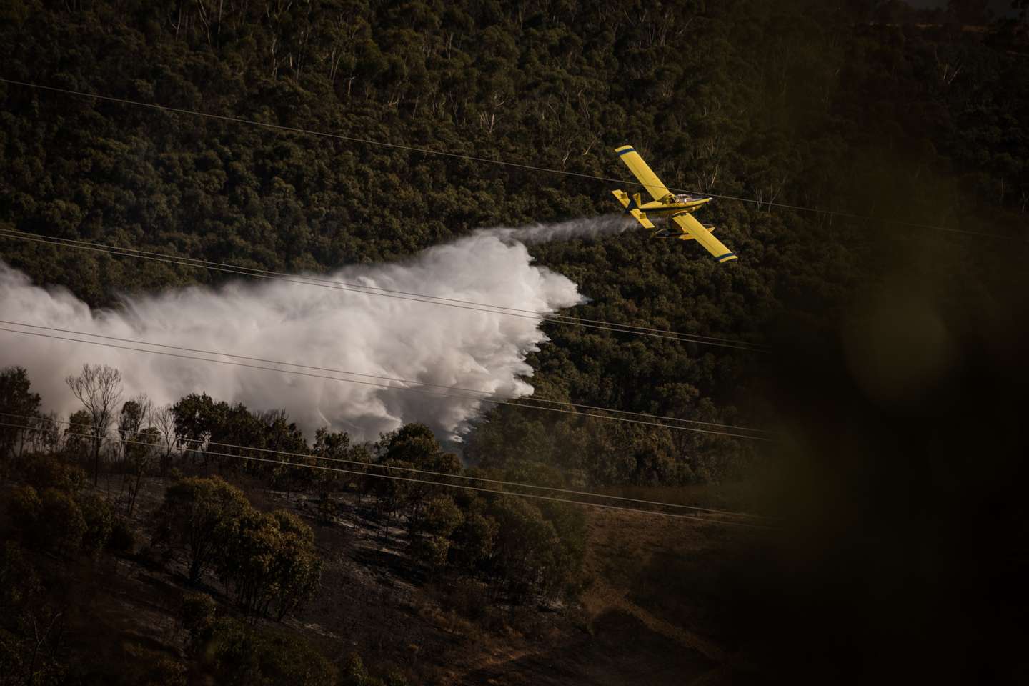 Incêndio em Santa Rita, em Tavira
