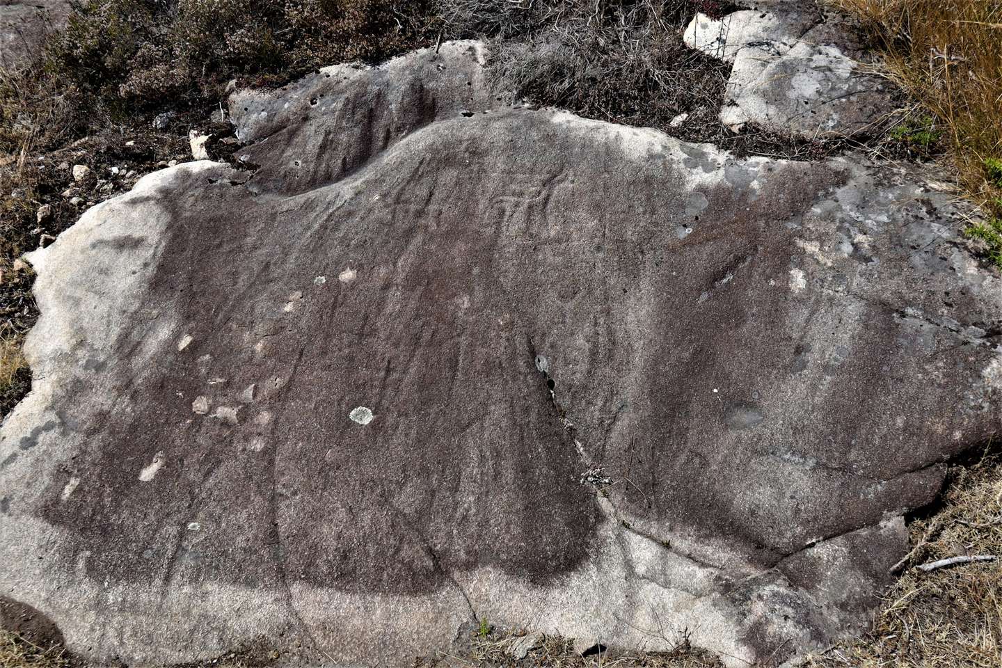 Descobertas 50 estações de arte rupestre de ar livre em Paredes de Coura