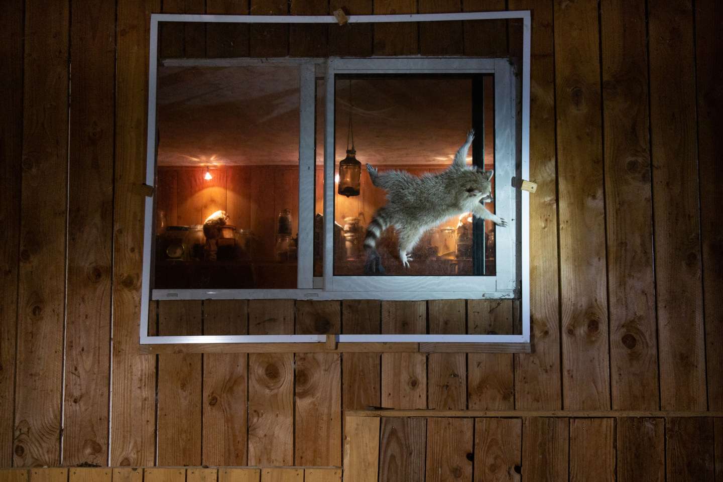 How do you get that damn window open?