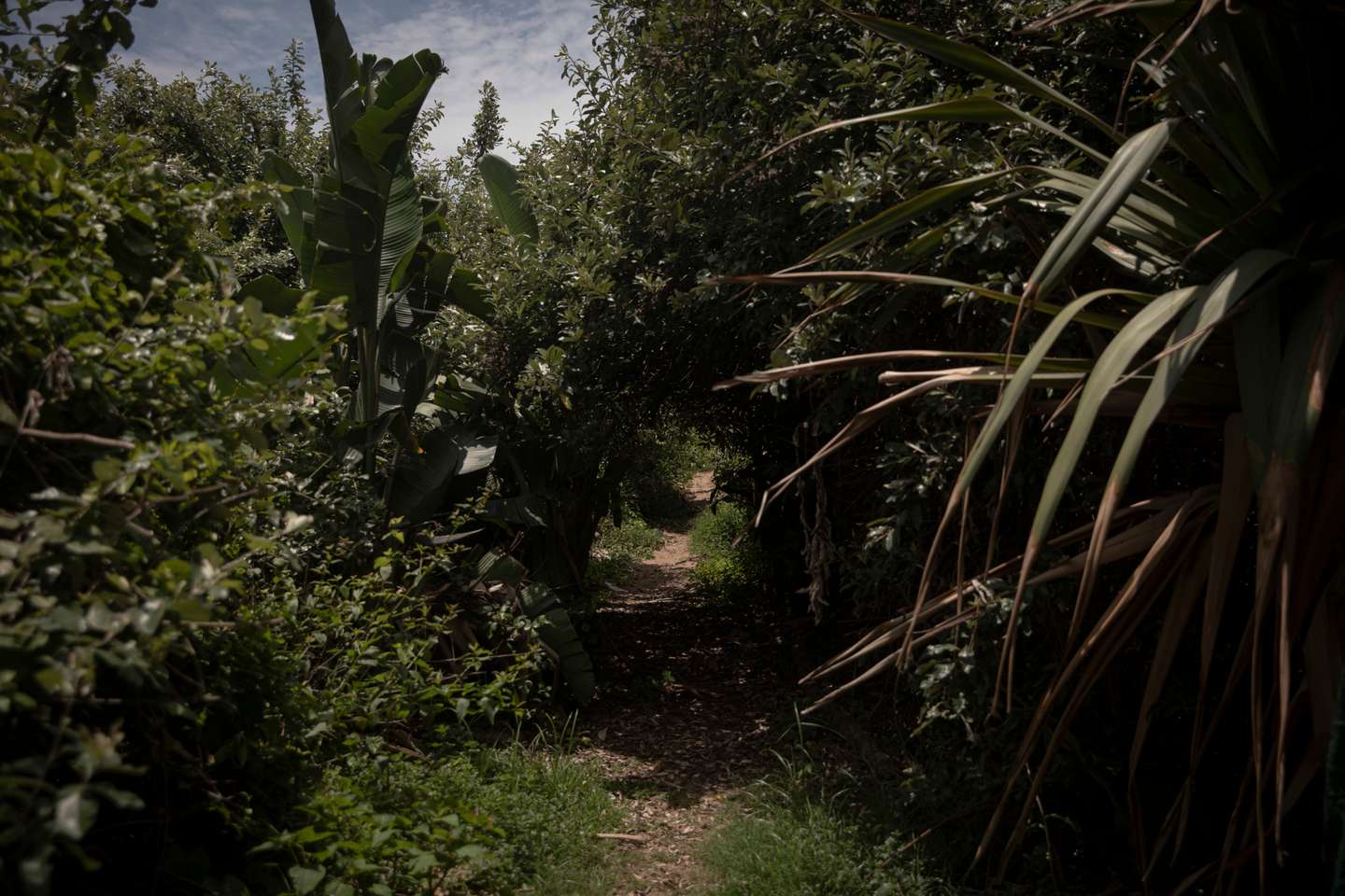 Reportagem sobre o bairro onde João Rendeiro viveu nos últimos dias antes de ser detido pelas autoridades sul-africanas. O ex-banqueiro João Rendeiro foi preso no dia 11 de dezembro, num hotel em Durban, na província sul-africana do KwaZulu-Natal, numa operação que resultou da cooperação entre as polícias portuguesa, angolana e sul-africana. Durban, África do Sul, 19 de dezembro de 2021. JOÃO PORFÍRIO/OBSERVADOR