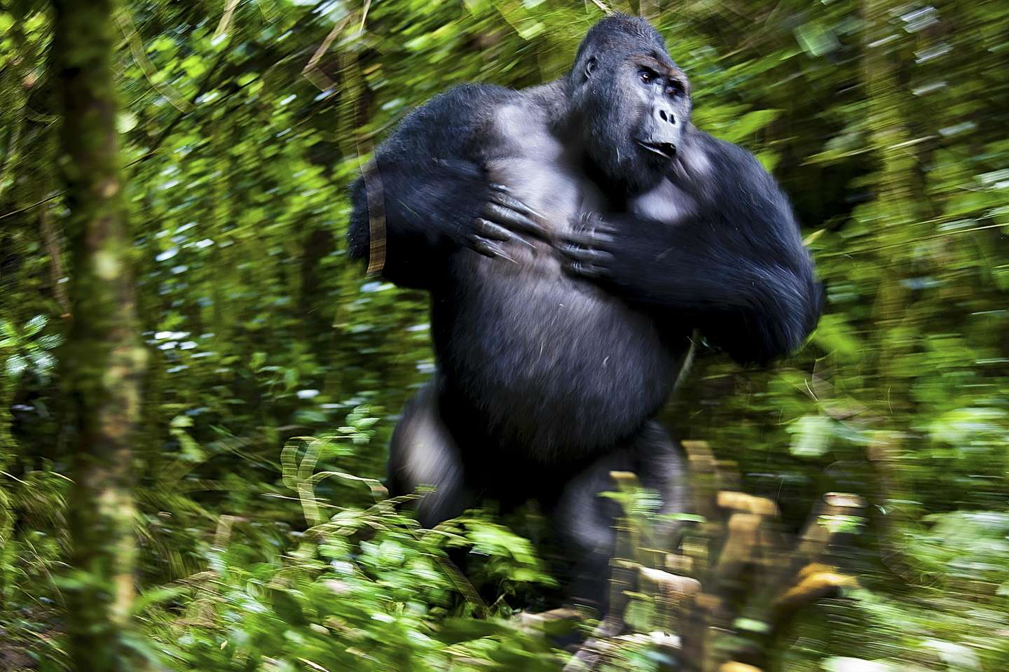 Nature Photographer of the Year 2021