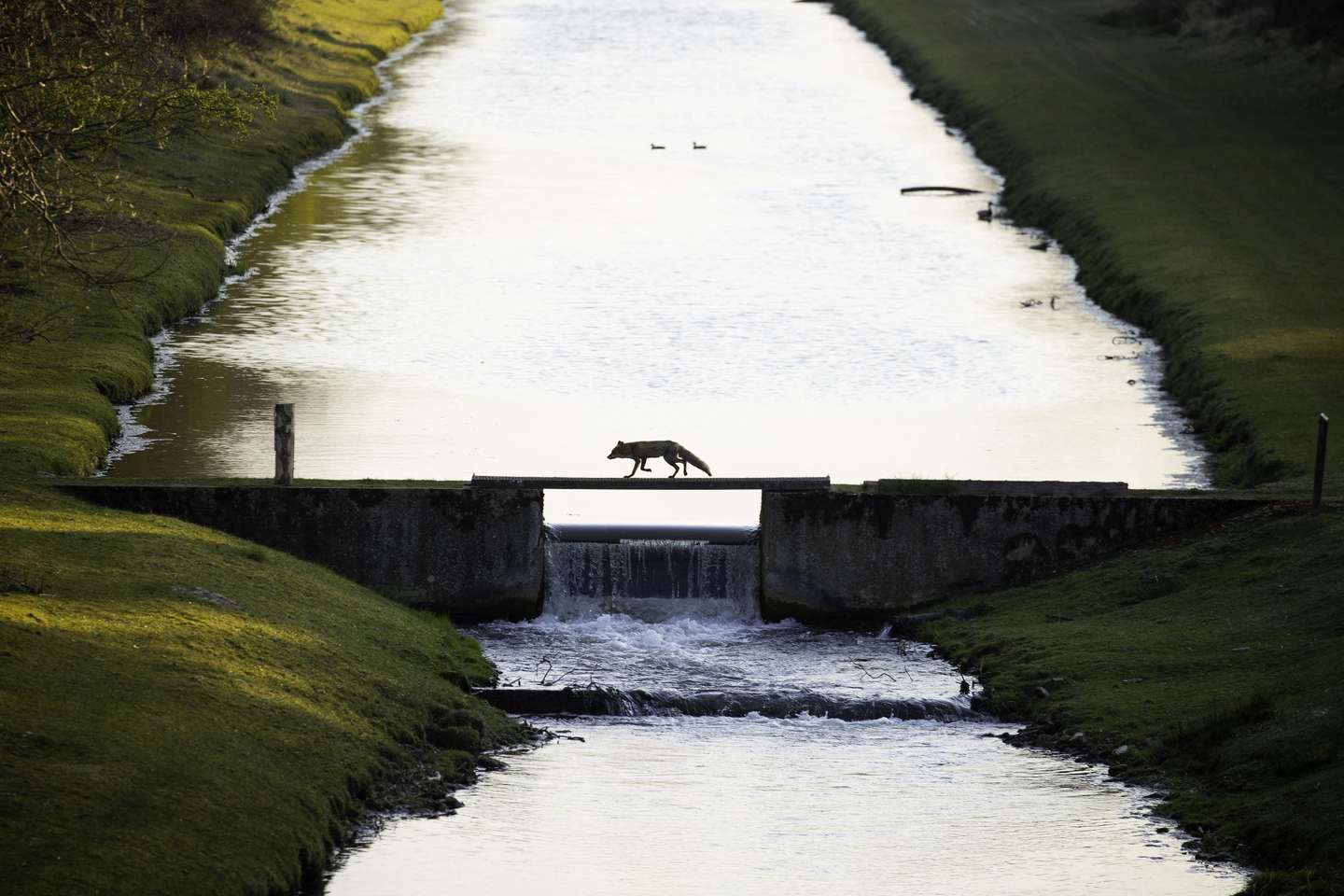 Nature Photographer of the Year 2021
