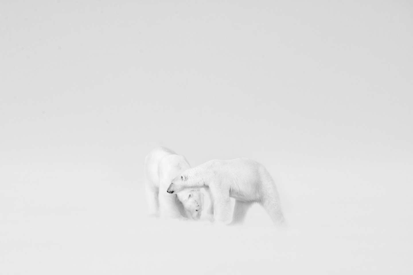 Nature Photographer of the Year 2021