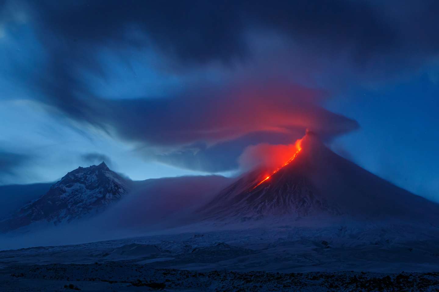 Nature Photographer of the Year 2021