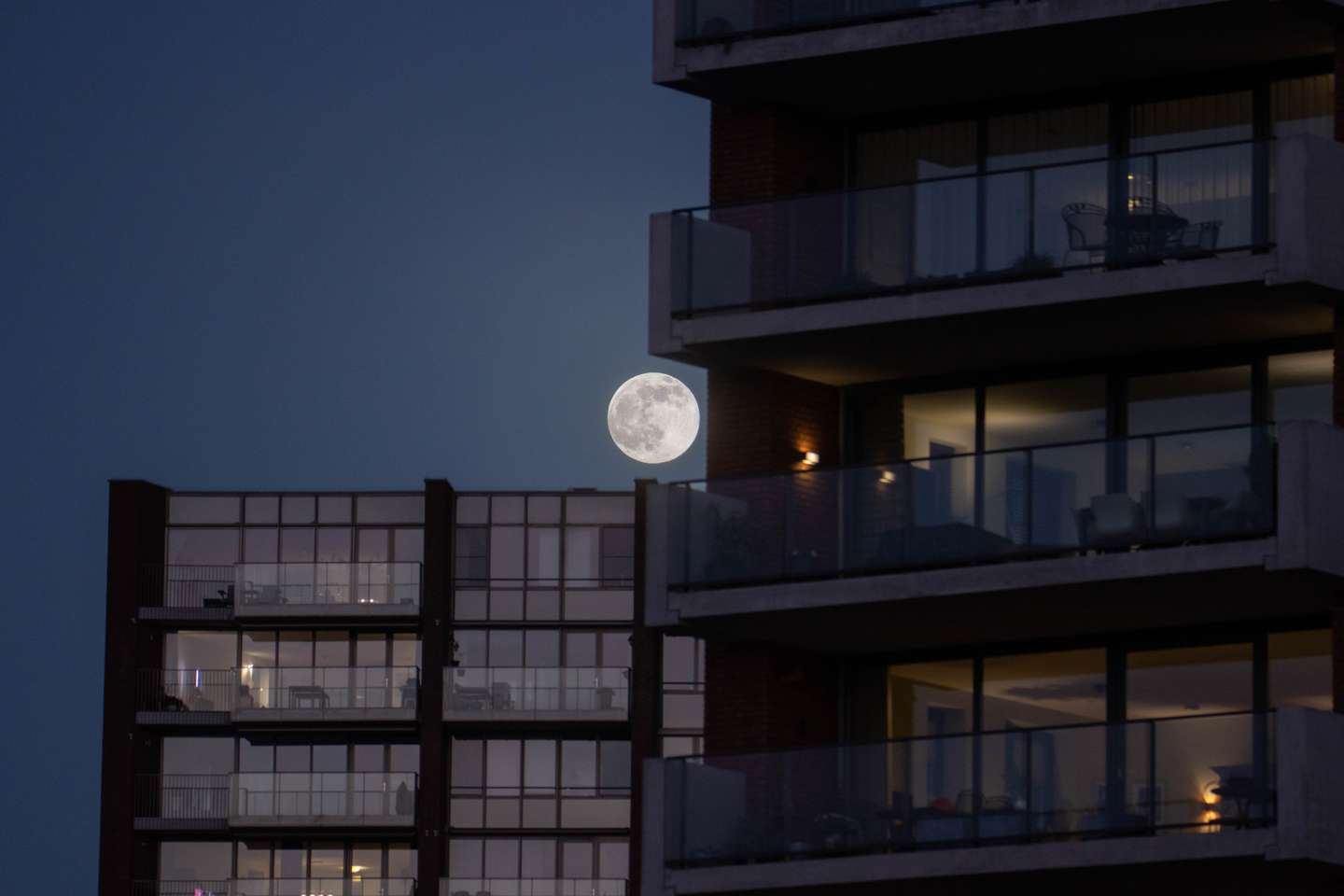Full Wolf Moon In The Netherlands