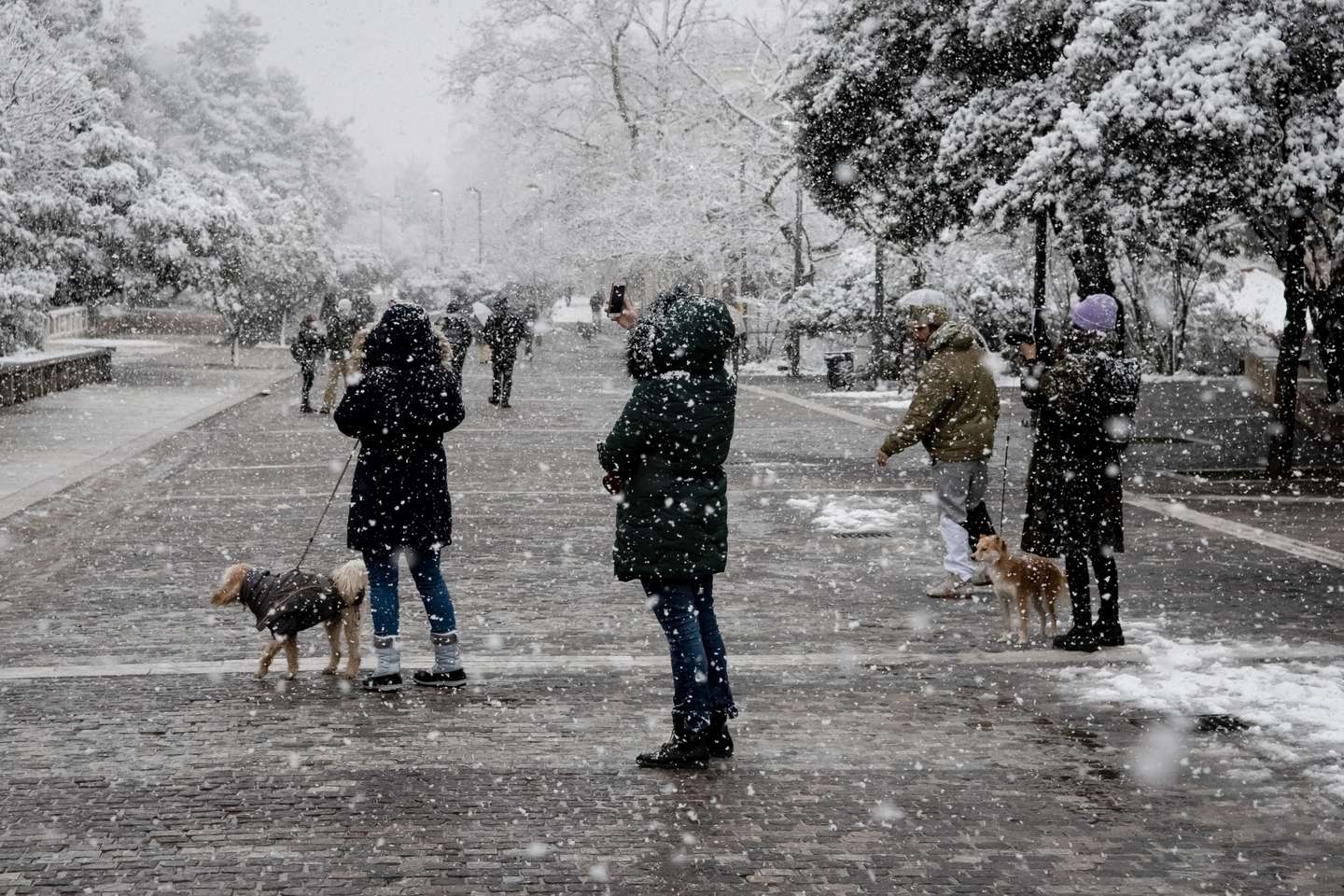 A tempestade de neve Elpida atinge Atenas, a capital da Grécia, no dia 24 de janeiro