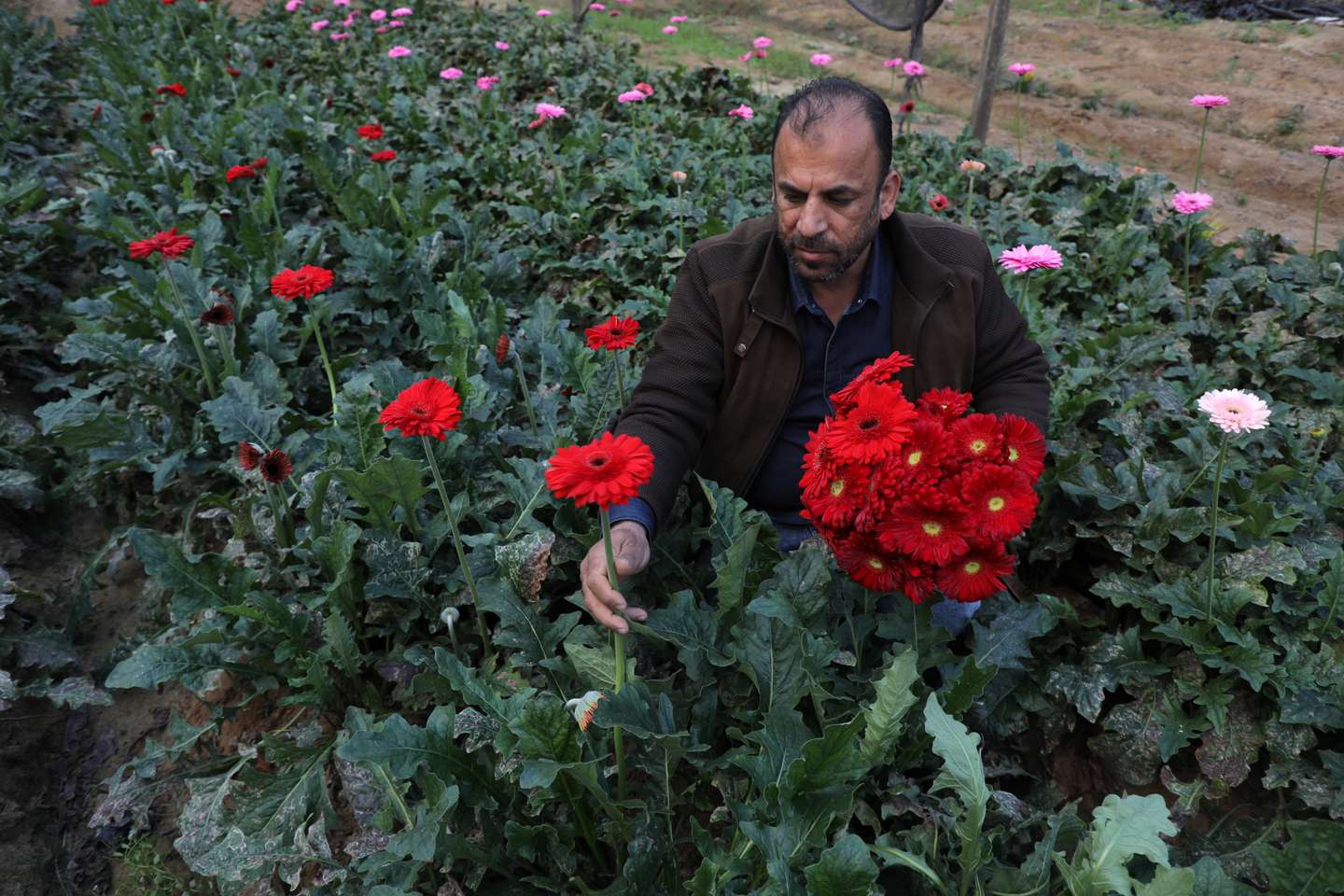 Valentine's Day In Gaza Strip