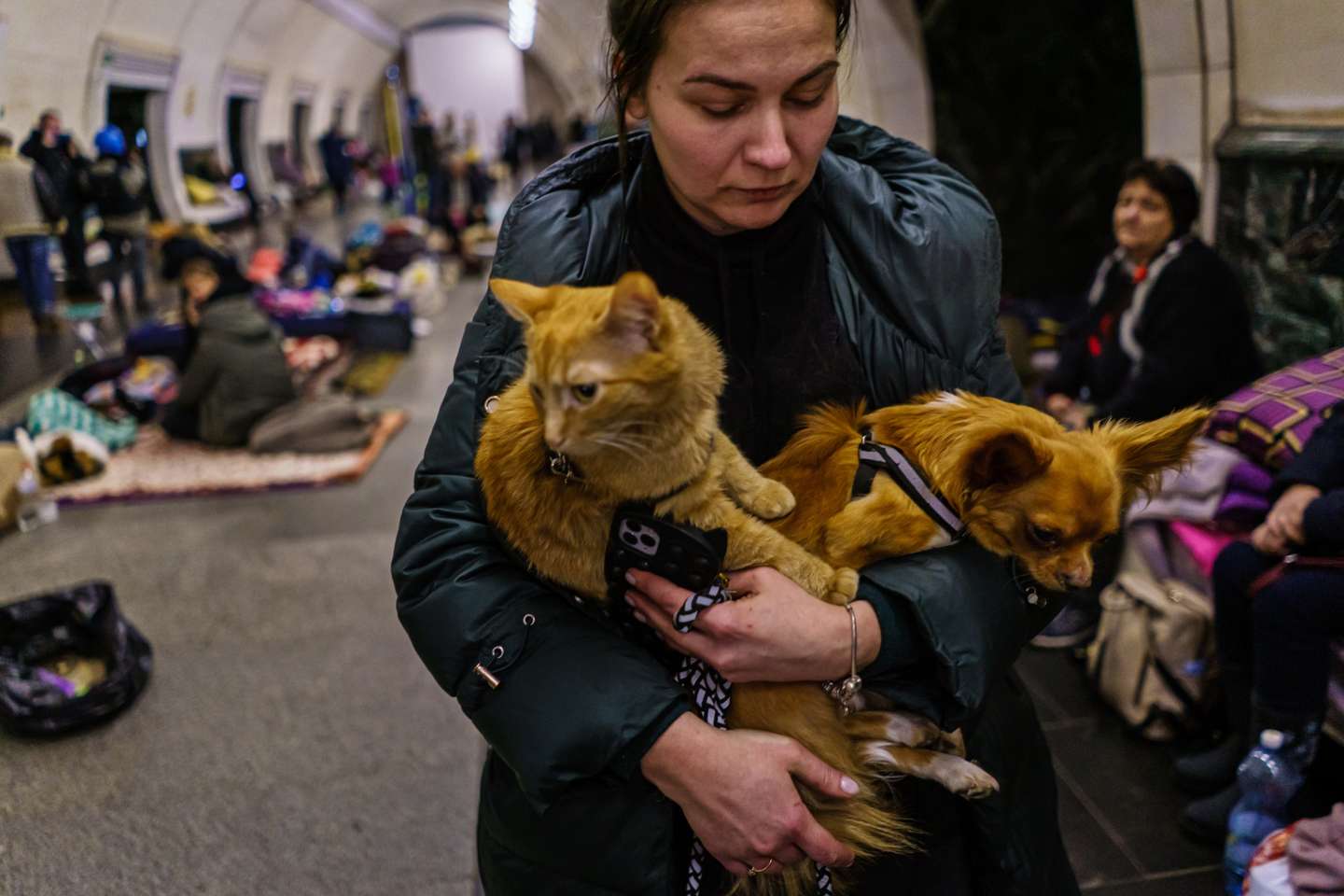 Com a invasão da Ucrânia, as pessoas estão a levar os seus animais de estimação consigo para os abrigos subterrâneos dos bombardeamentos ou para fora do país