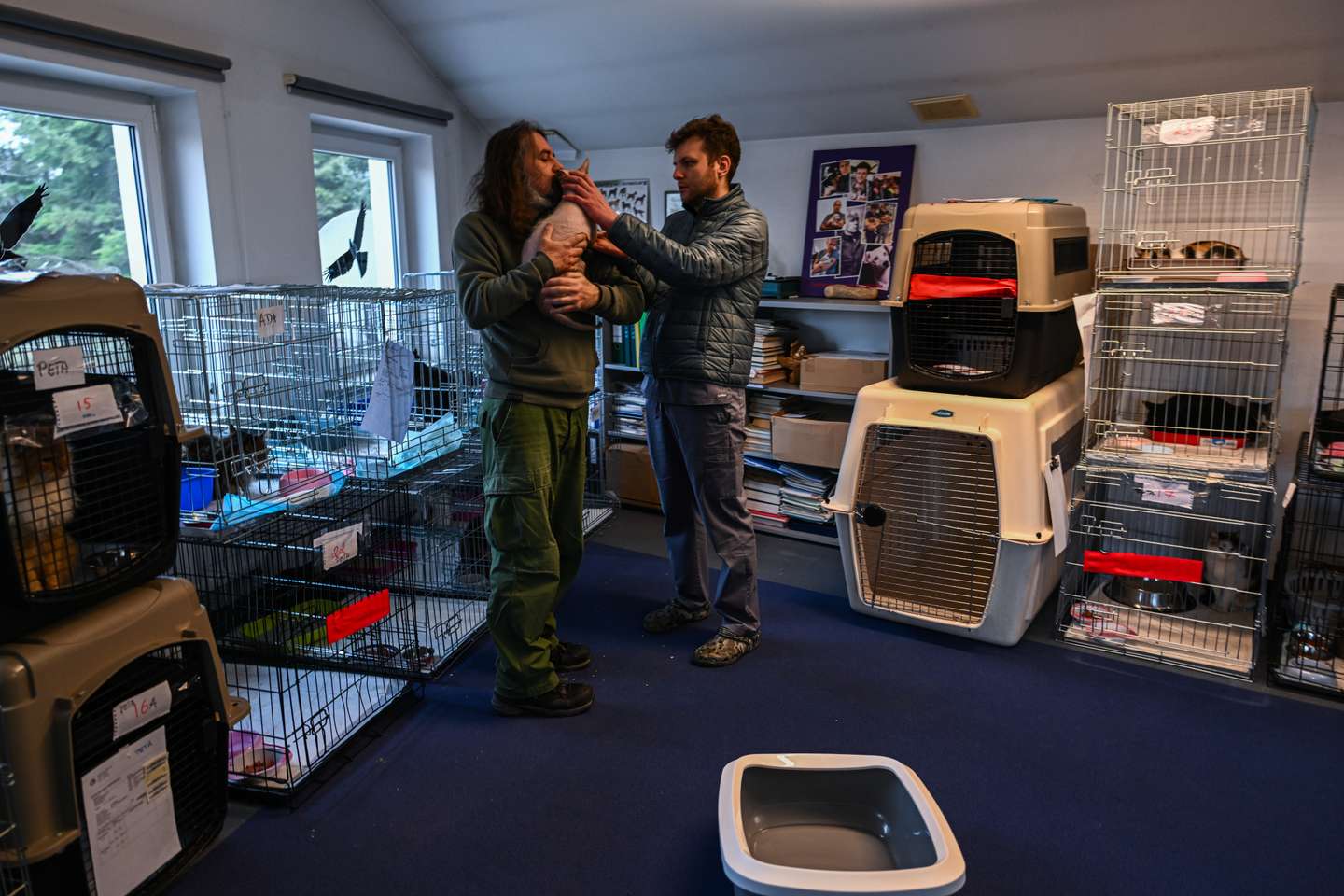 Clínica veterinária da Fundação Ada, em Przemysl (Polónia) onde são tratados os animais evacuados da Ucrânia
