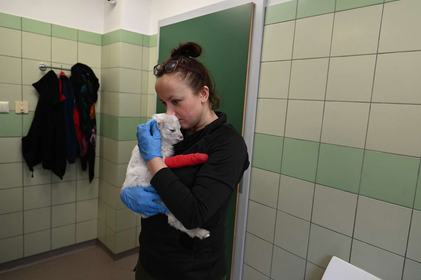 Clínica veterinária da Fundação Ada, em Przemysl (Polónia) onde são tratados os animais evacuados da Ucrânia
