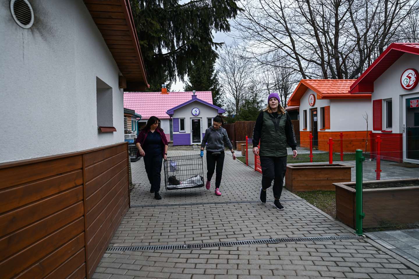 Clínica veterinária da Fundação Ada, em Przemysl (Polónia) onde são tratados os animais evacuados da Ucrânia